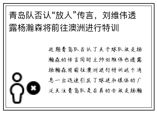 青岛队否认“放人”传言，刘维伟透露杨瀚森将前往澳洲进行特训