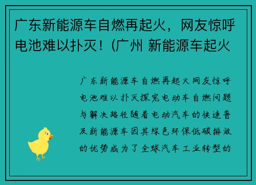广东新能源车自燃再起火，网友惊呼电池难以扑灭！(广州 新能源车起火)
